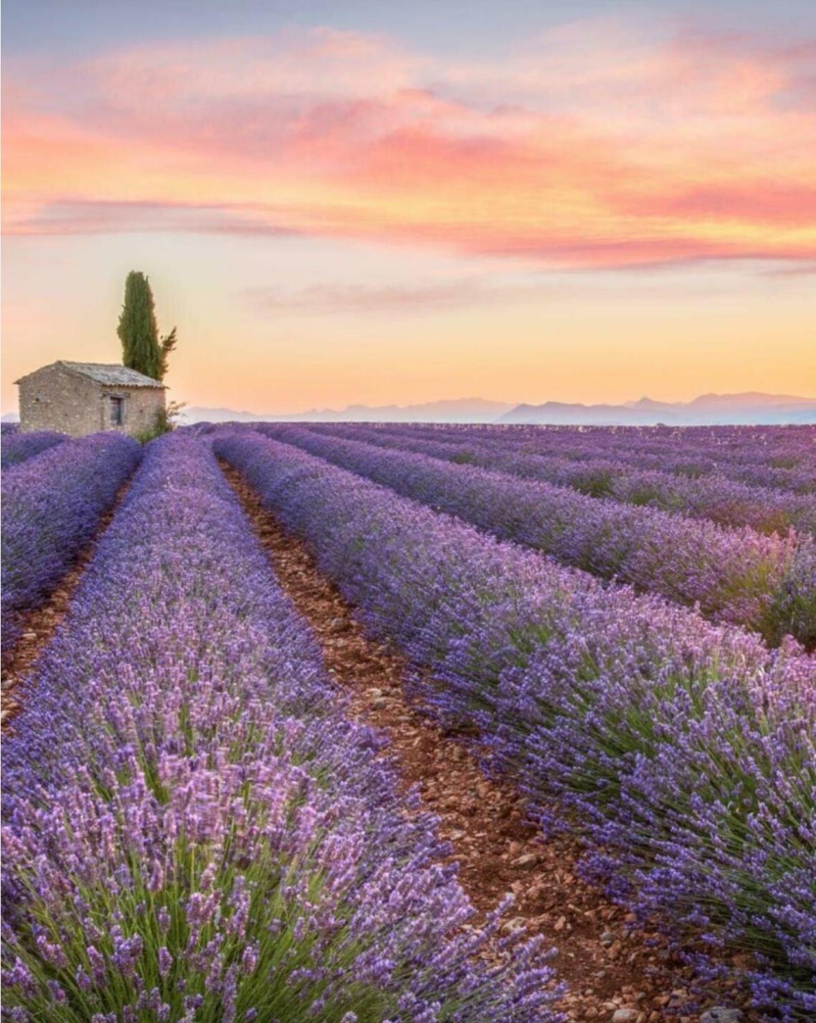 Fuvolea, Maison De Vacances A 15 Min Du Centre D'Aix-En-Provence, Piscine Chauffee En Saison - Jardin - Parking Prive Gratuit Fuveau Kültér fotó